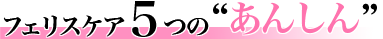 フェリスケア５つの“あんしん”